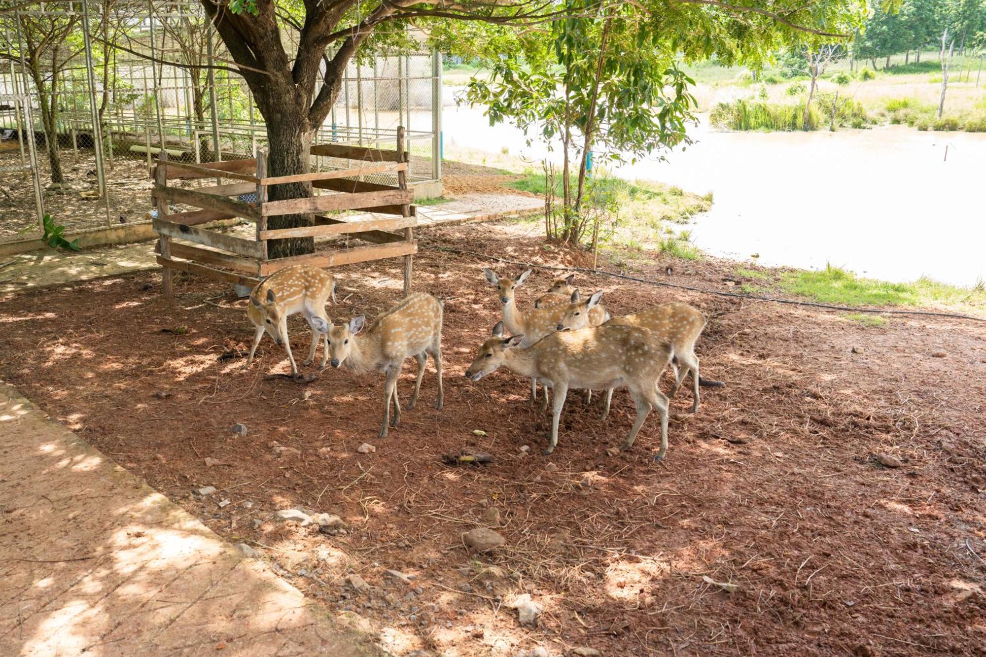 Phum Domnak Domrey Resort Chambok Bagian luar foto